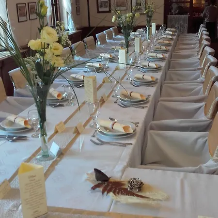 Bed & Breakfast Vendeglo Panzio Sárospatak