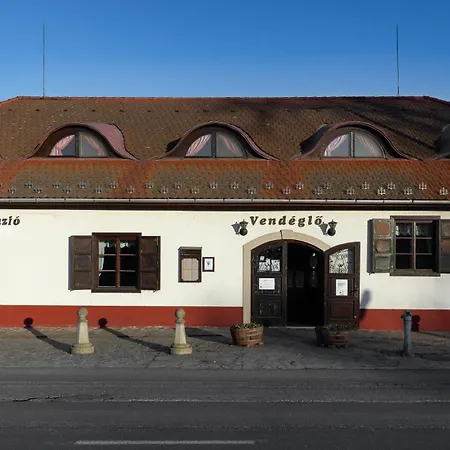 Bed & Breakfast Vendeglo Panzio