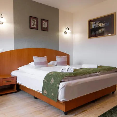 Bed & Breakfast Vendeglo Panzio Sárospatak